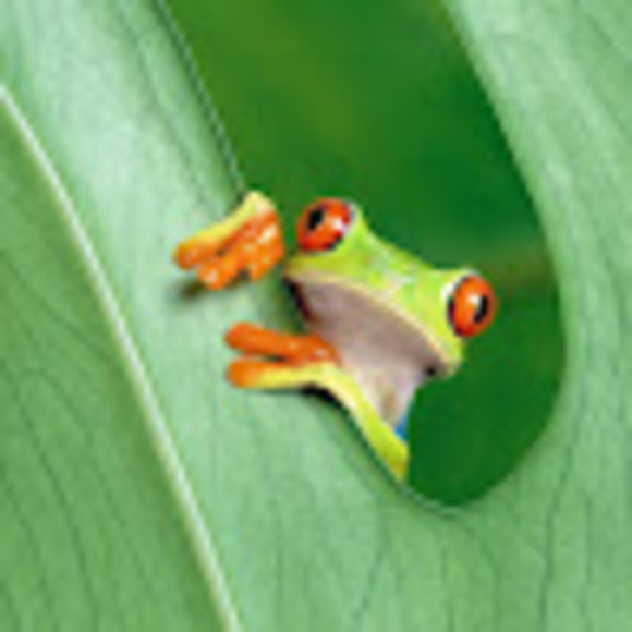 Meet your Posher, Heidi - Picture 1 of 1